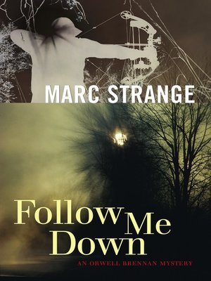 cover image of Follow Me Down